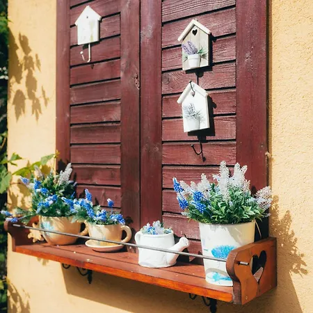 Friends Liptov * Liptovský Mikuláš