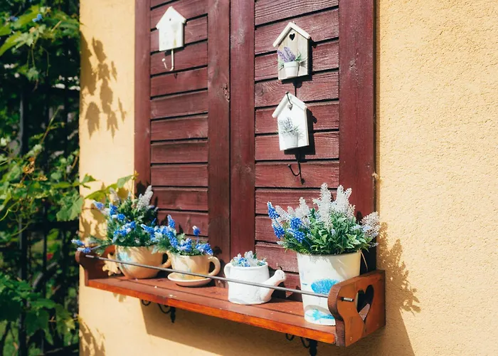 Friends Liptov * Liptovský Mikuláš